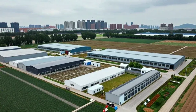 技术咨询项目中交付质量保障的关键策略